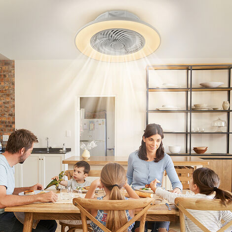 JDALX Ventilateur Silencieux Plafond Avec Lumiere Et Telecommande LED