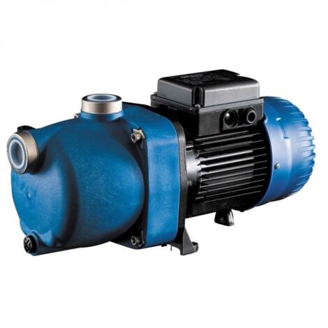 Polaris – Surpresseur piscine 1 CV mono multicellulaire – Corps Noryl – Étanchéité IP-55 – Alimentation 220-240V – 2800 rpm (1/3)