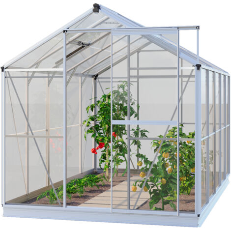 GFP Gewächshaus Opal 5 Glasgewächshaus 192x317 cm Aluminium-Rahmen, 4 mm Sicherheitsglas mit Fundamentrahmen und autom. Fensteröffner (1/5)