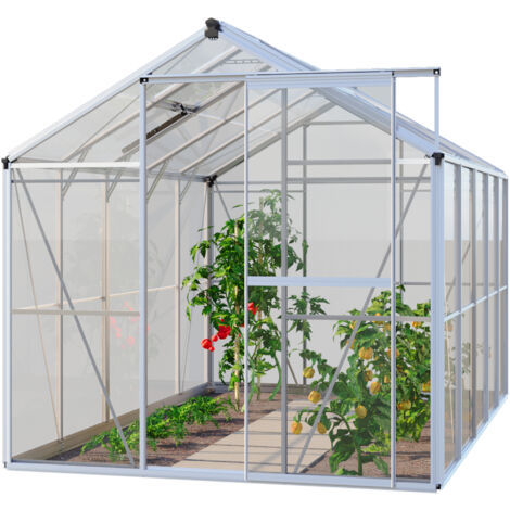 GFP Gewächshaus Opal 5 Glasgewächshaus 192x317 cm Aluminium-Rahmen, 4 mm Sicherheitsglas (1/4)