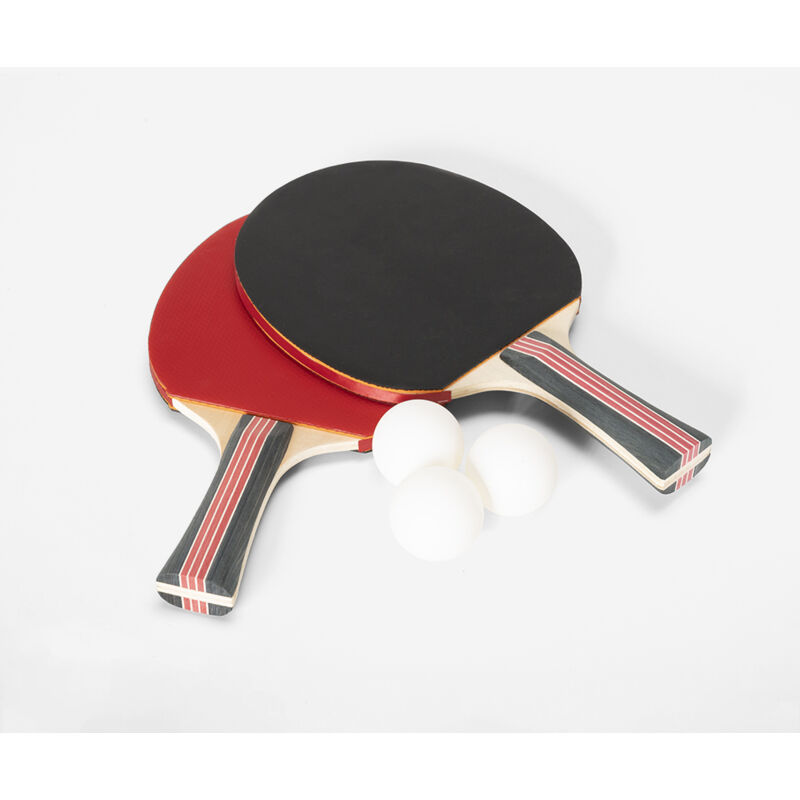 Raquette de ping-pong avec housse de protection : Commandez sur  Techni-Contact - Raquette tennis de table