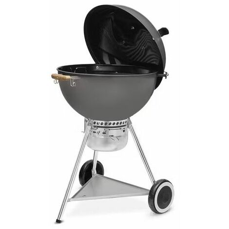 Barbecue a carbone hoollywood grigio 19521004