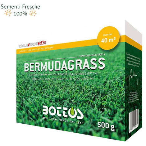BOTTOS - BERMUDAGRASS / 500 g - Sementi per prato Macroterme