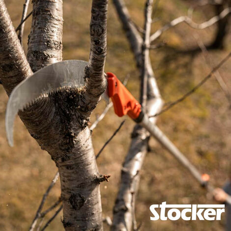 Stocker Seghetto Falco 430 TC - Leggero Con Attacco Per Treeclimber, Lama 43cm - Foto 3