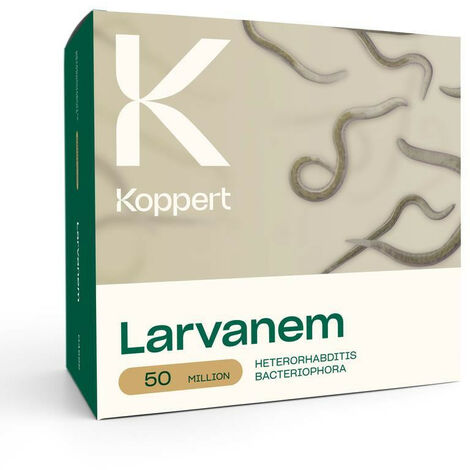 Larvanem Koppert - 50 milioni - Heterorhabditis bacteriophora