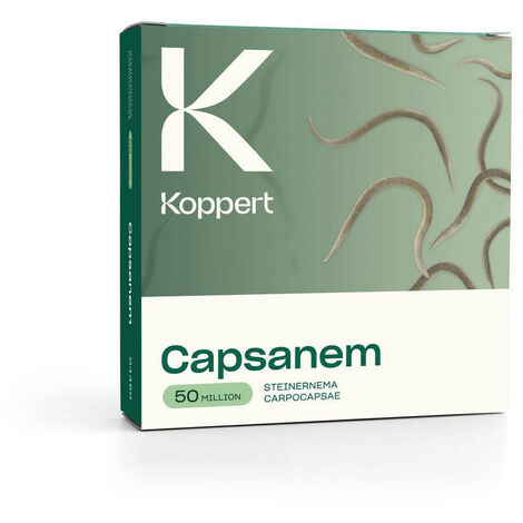 Capsanem Koppert - 50 milioni - Steinernema carpocapsae
