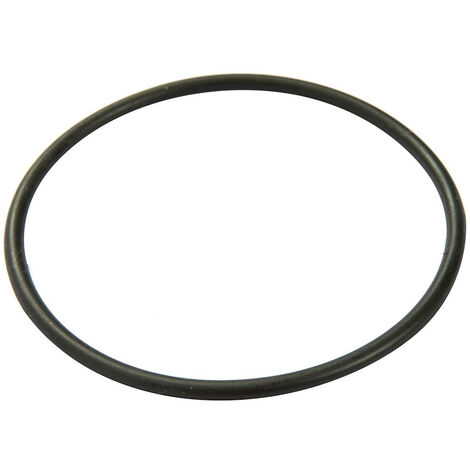 BESTWAY - P6118 - O ring per coperchio pompa a cartuccia 58381