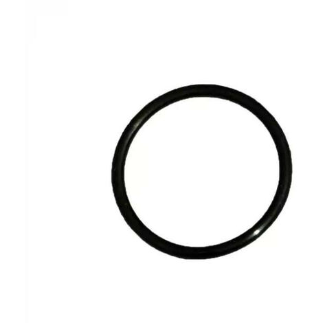 BESTWAY - P61736 - Guarnizione per filtro a catuccia 58391