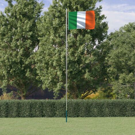 Asta e Bandiera Irlanda 6,23 m Alluminio vidaXL
