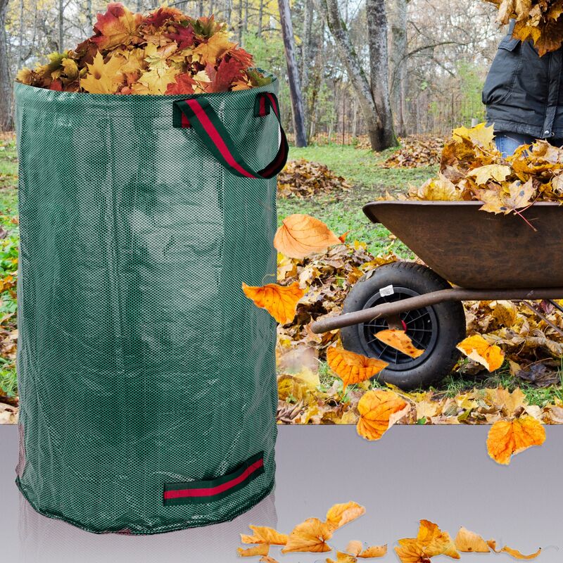 Bulbo Di Dalia EMORY PAUL Gigante - Fiori Fino A 30 Cm, Altezza 150 Cm, Provenienza Olandese - Foto 4