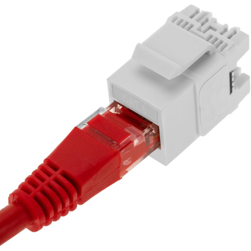 CableMarkt - Pack 6 unità accoppiatore Keystone RJ45 Cat.6 UTP femmina a  TB110 bianco