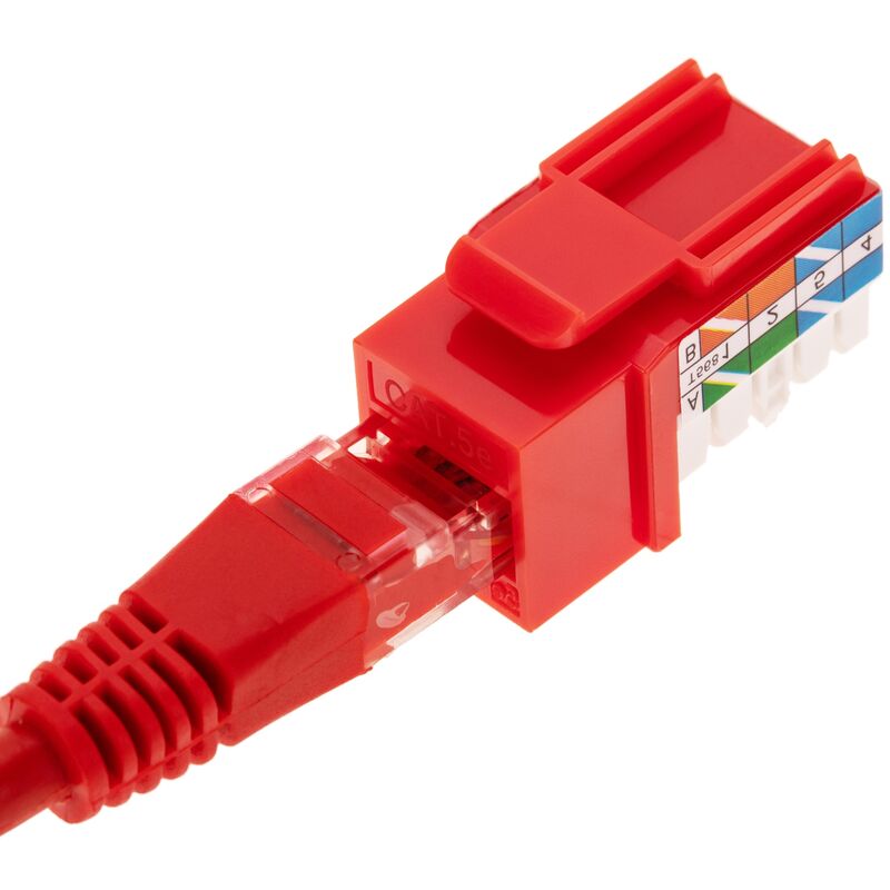 CableMarkt - Pack 6 unità connettore Keystone RJ45 Cat.5e UTP femmina a  TB110 rosso