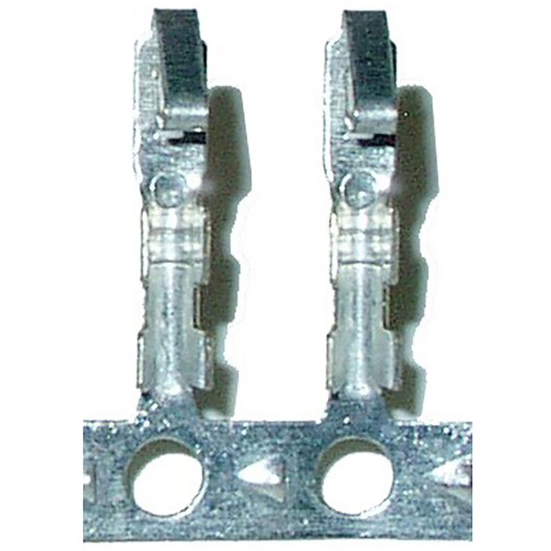 CableMarkt - Terminale in metallo MOLEX M/B femmina a 10 pin