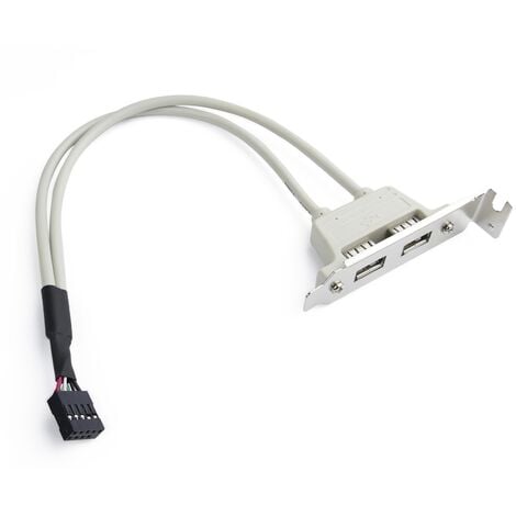 CableMarkt - Adattatore con 2 porte USB femmina con header a staffa a basso  profilo per scheda