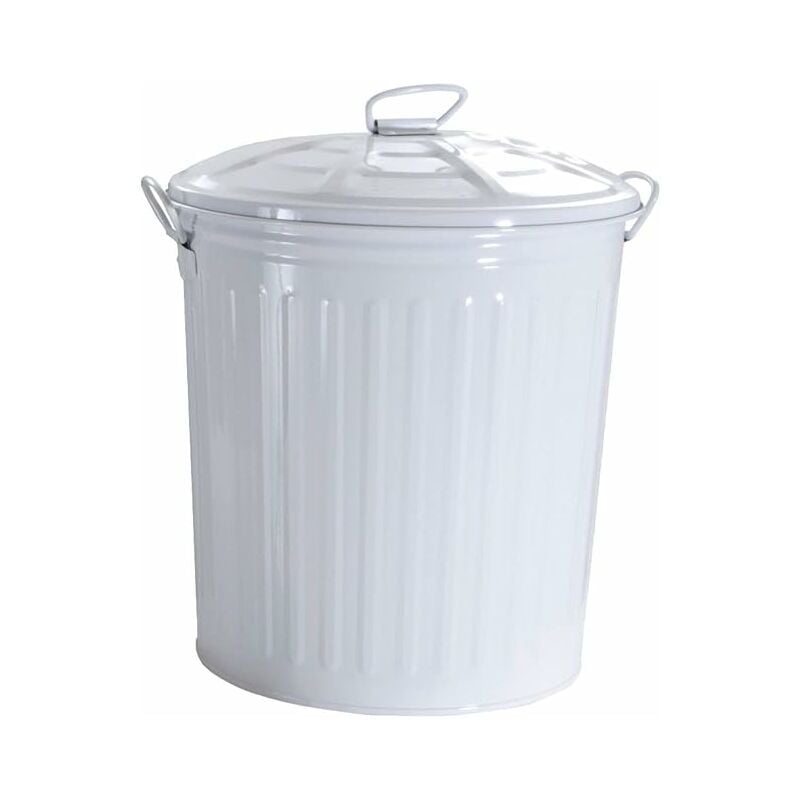 BAC LT.35 PEINT EN BLANC