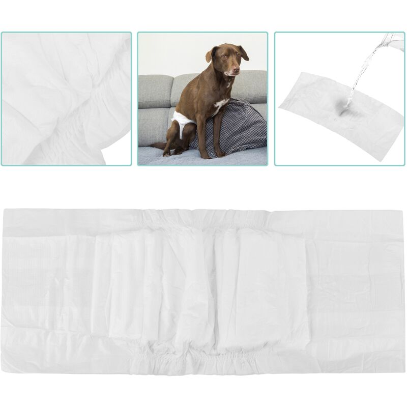 Bandeau pour chien incontinent. Couche pour chien. Bandeau chihuahua