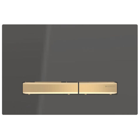 Geberit Sigma50 - Plaque de déclenchement 2 touches, noir / laiton 115.672.DW.2