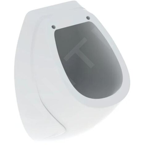 Geberit - Urinoir, alimentation d’eau arrière, blanc 239200000 (1/2)