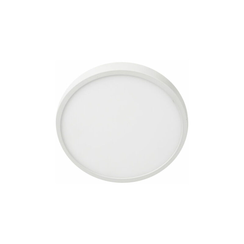 FT-50 VASCHETTA LIQUIDO FRENI DIAMETRO 50 MM BARRACUDA
