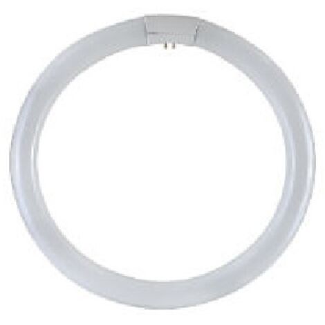 Circolina T9 G10Q 32W 6500K, Trifosfori