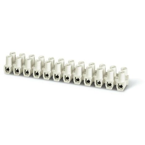 Morsettiera T85 2,5mm² 250V bianco SCA815.2361B per impianti civili