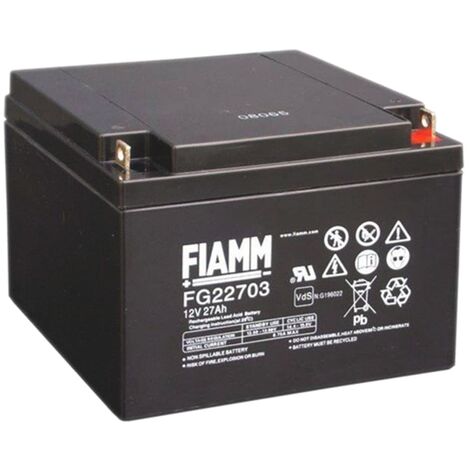 Batteria AGM 12V 18Ah DSK - Per Allarmi, Luci Emergenza, Recinzioni - Foto 13