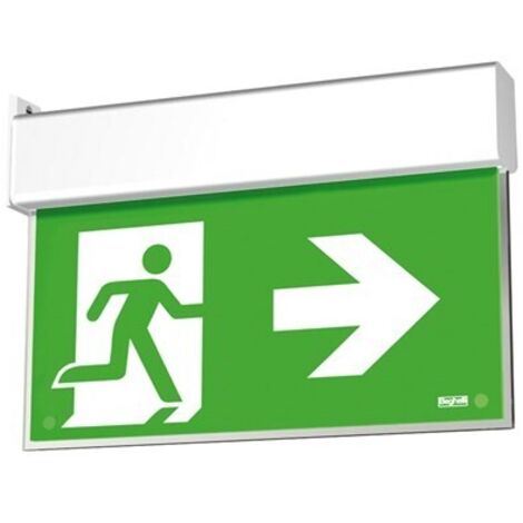 Lampada di Emergenza Up Led Exit DF30M SA 1/2/3h (1/2)