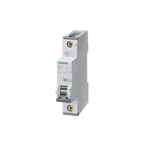 Interruttore Magnetotermico 230/400 V 6kA, unipolare, C, 40A, D=70 mm