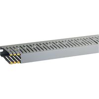 T1-EN 25x80 G Canaletta con coestruso morbido modulo 10 feritoia 4, Grigio