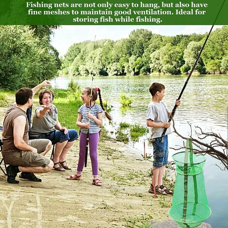 Krabbenfalle Faltbar - Für Hummer, Krebse, Garnelen 28-37,5cm