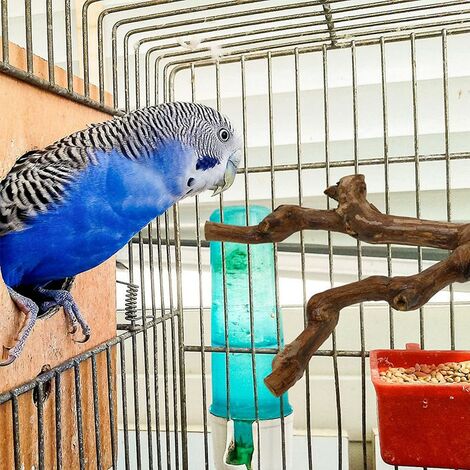 Anjing Vogelschaukeln Aus Holz – 2 Stück, Für Wellensittiche, Papageien, Finken