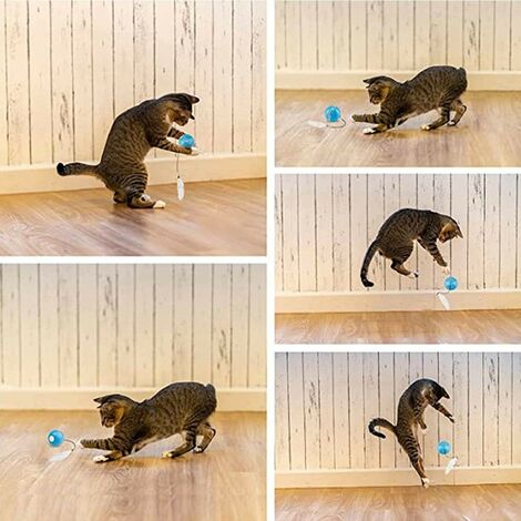 Intelligenzspielzeug fr Tiere, Elektrischer Ball fr Katzen mit LED-Licht,  360 drehbar, USB,Blau