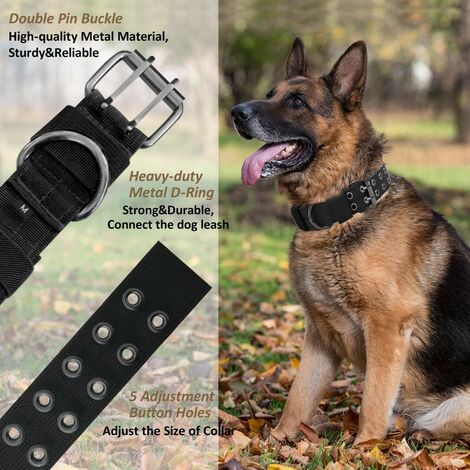hundefutter kleine hunde MINI Lamm mit Kartoffeln