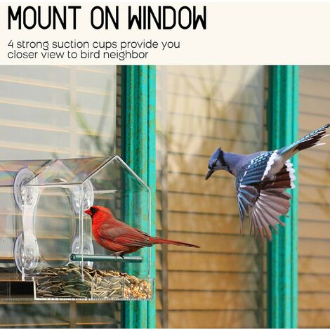 Fenster-Vogelfutterspender Aus Acryl – Durchsichtig, Mit 2 Sitzstangen & Starken Saugnäpfen
