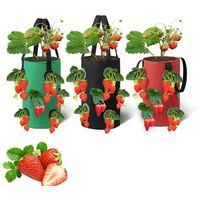 Erdbeere Pflanzsack 3 Stück, Garten Gemüse Zuchtbeutel,Grow Tasche, Hängend Erdbeeren Pflanztaschen, (20x35CM)