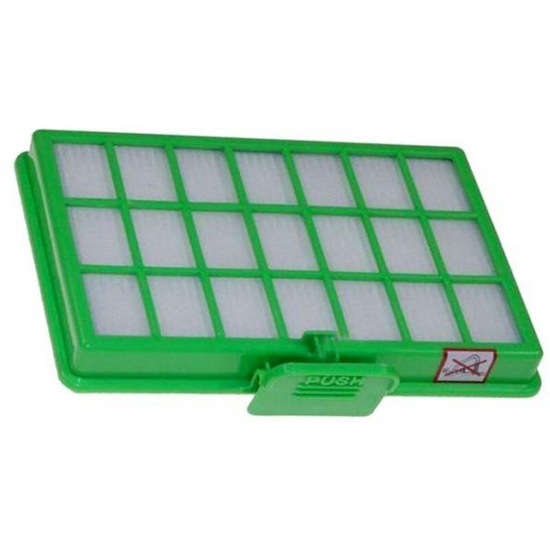 Grille filtre pour aspirateur Rowenta RS-RT4048 | Leroy Merlin