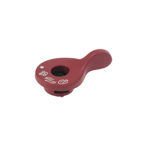 Válvula clipso rosa SS-981205 MOULINEX