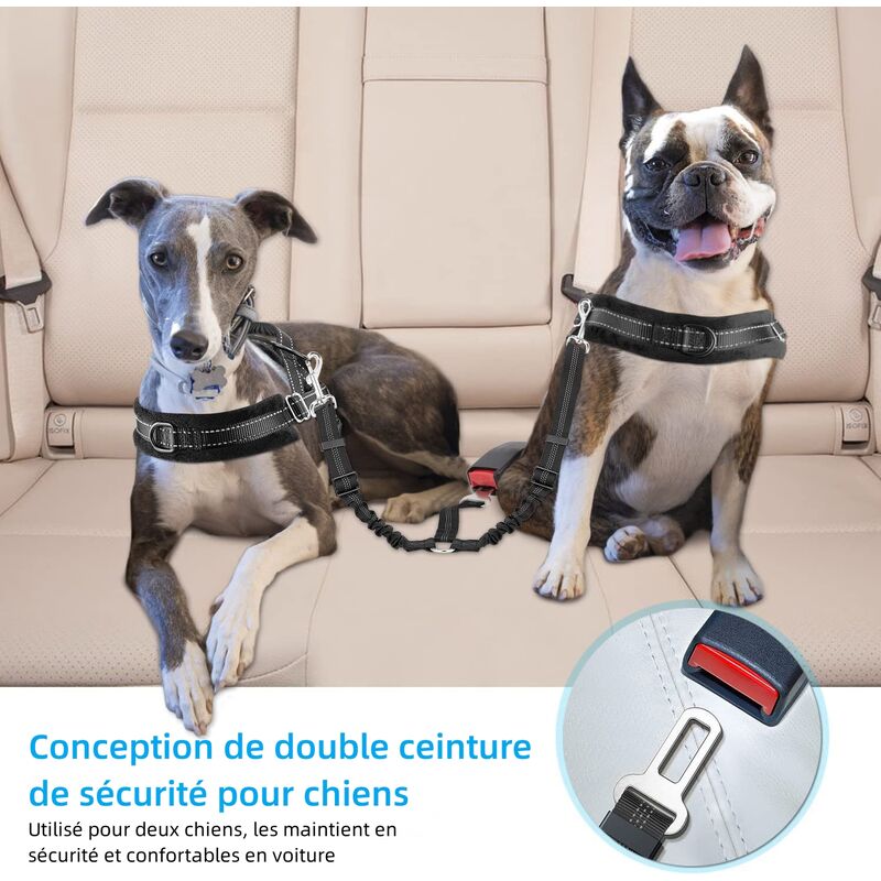 Laisse double pour chien, double ceinture de sécurité réglable