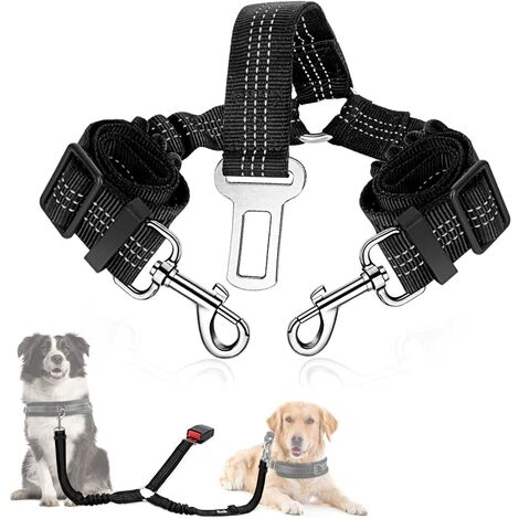Laisse pour chien avec boucle de ceinture de sécurité