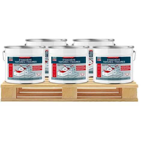 Peinture, résine d'étanchéité toiture, réparation tuiles, fissures, anti-fuites, décore, protège, plusieurs coloris PROCOM ffffff 5 x 10L