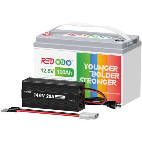 ECO-WORTHY 10A 12V Batterie Ladegerät Halter für Bleisäure LiFePO4 Batterie  Auto Motorrad