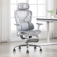 Wahson Chaise de Bureau avec Accoudoirs, Fauteuil de Bureau Ergonomique avec Support Lombaire Réglable avec Repose-Pieds, Gris