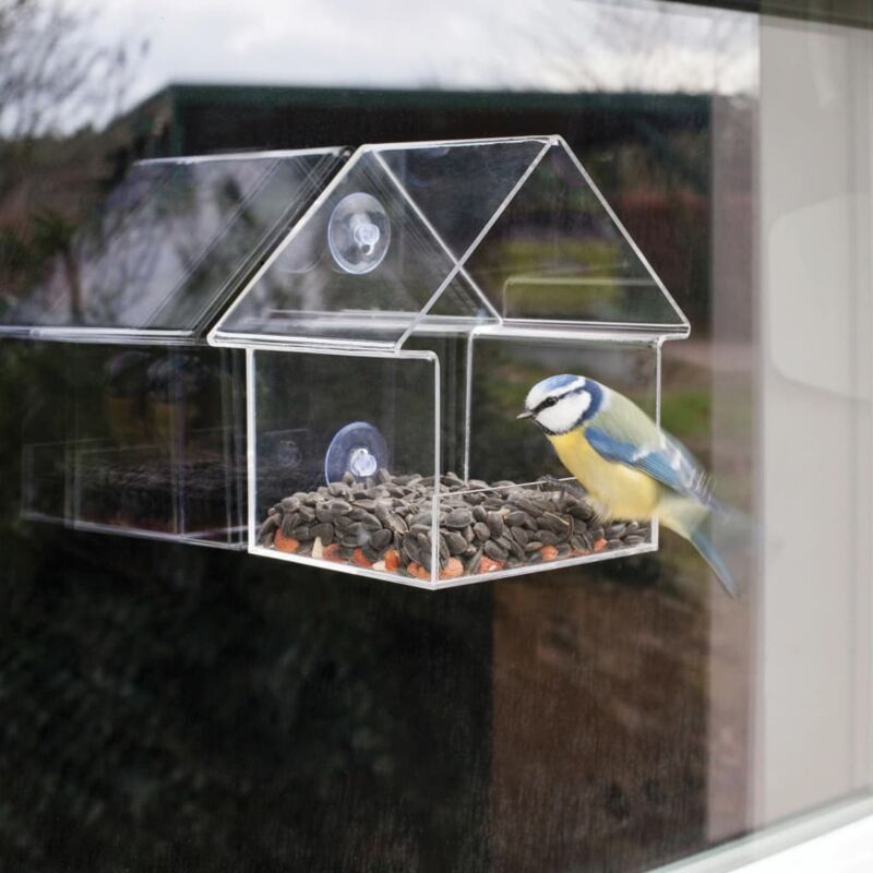 PALMAT - Mangeoire de Fenêtre pour Oiseaux - Transparente avec Plateau –  PALMAT EUROPE
