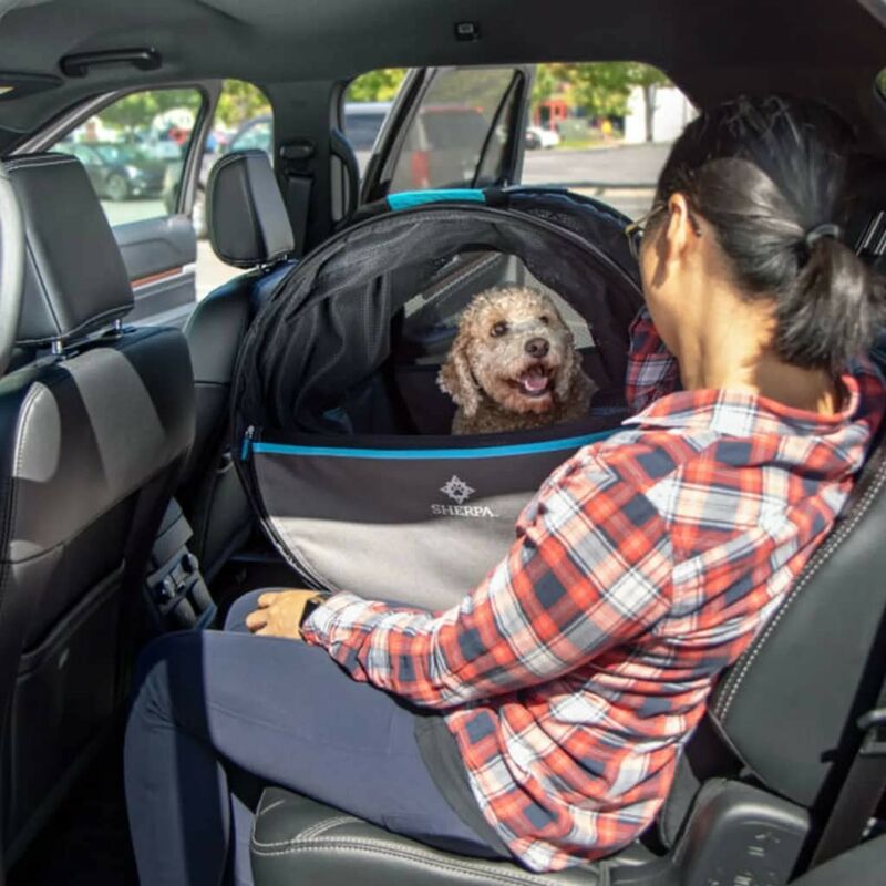 Voiture - Siège arrière - Organisateur - Zwart - Avec table