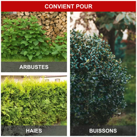 Scheppach Taille-haies électrique ETHT500 - Taille haies sur perche - 500 W - Longueur de coupe 45 cm - 230 V - Extensible jusqu'à 275 cm - Tête de coupe réglable