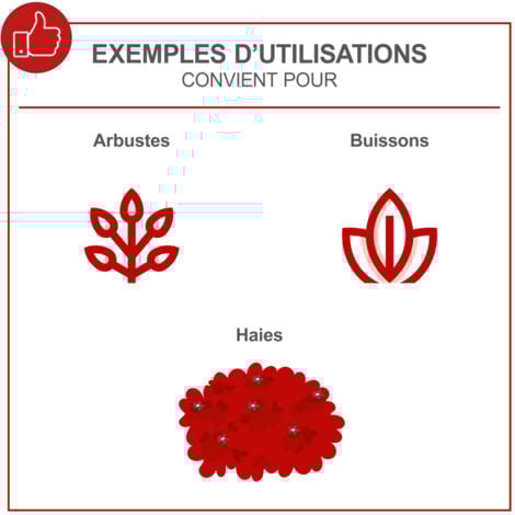 Scheppach Taille-haies à essence BHS650 – 650 W – Moteur à essence 2 temps 0,88 CV – Vitesse de coupe 1850 coupes/min – Taille haie thermique – Longueur de coupe 560 mm – Diamètre de coupe 27 mm