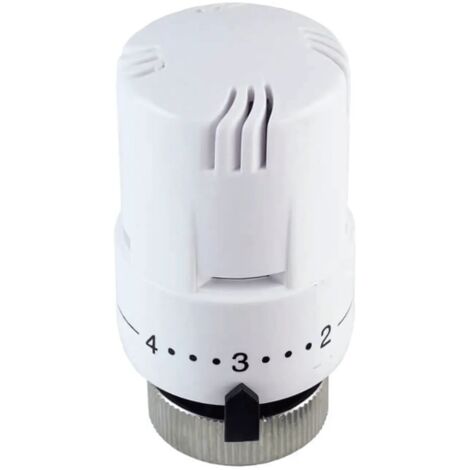 Tête thermostatique blanche TH1 M30 1.5 FluidHeat (1/2)