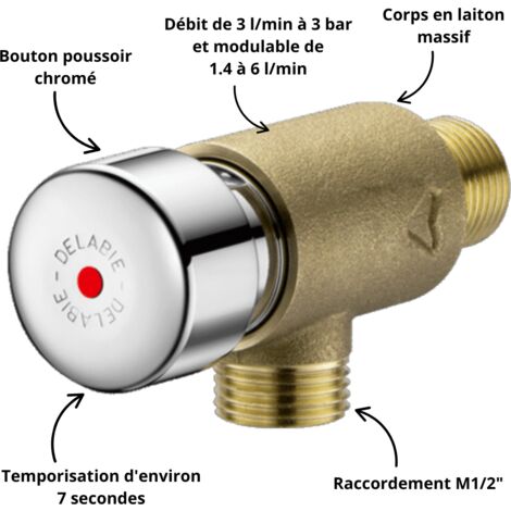 Delabie – Robinet mural temporisé pour lave-mains – Corps en laiton massif – Débit modulable 1,4 à 6 l/min – Bouton poussoir chromé