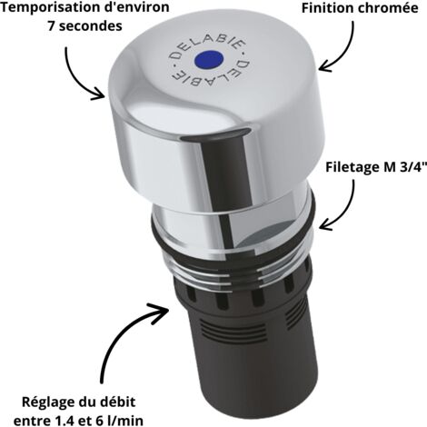 Delabie – Cartouche thermostatique temporisée – Débit ajustable 1,4 à 6 l/min – Raccordement M 3/4' – Réduction consommation d'eau (1/3)