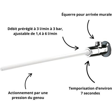 Delabie – Robinet poussoir temporisé – Commande fémorale – Débit réglable 1,4 à 6 l/min – Corps laiton massif chromé – Installation murale
